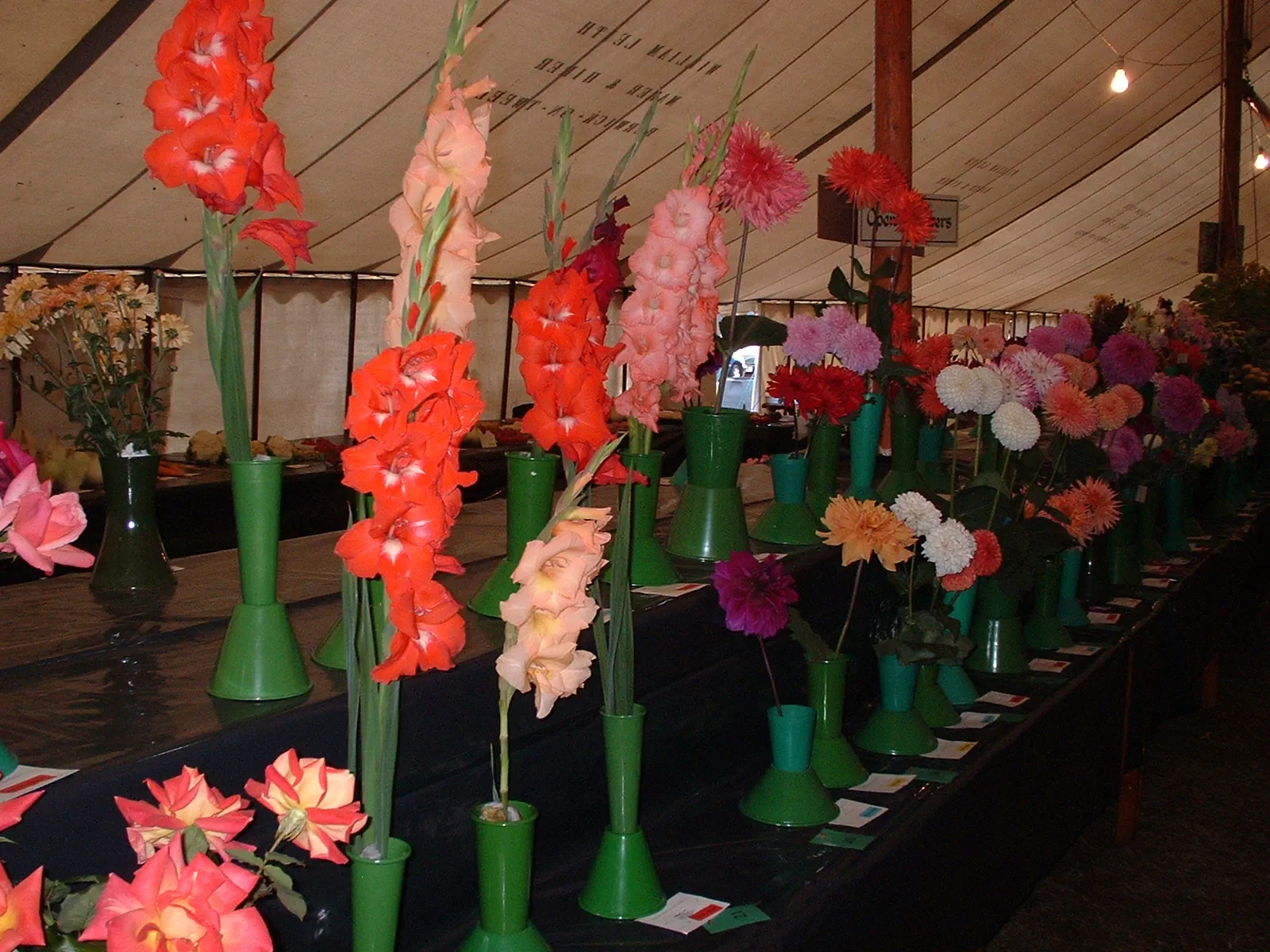 Gifford flower show 04